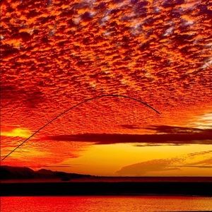 Meet your Posher, Gayle